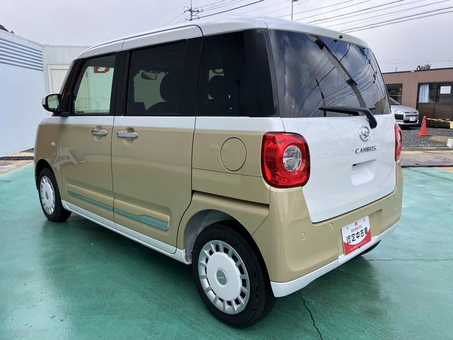 ムーヴキャンバス ストライプスG(11枚目)