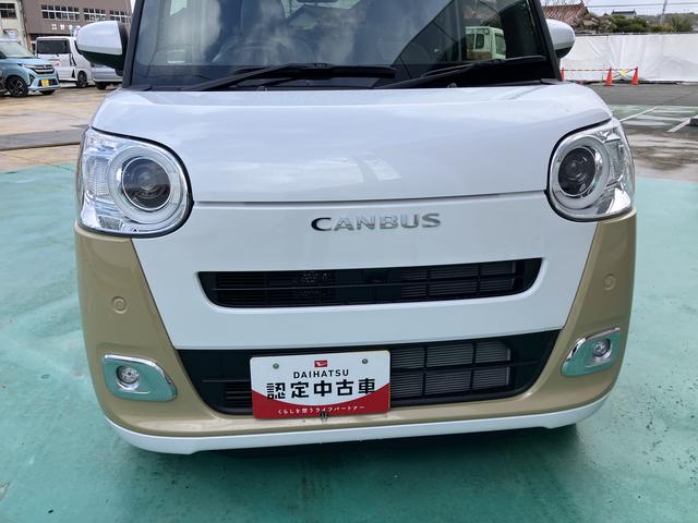 ムーヴキャンバス ストライプスG(13枚目)