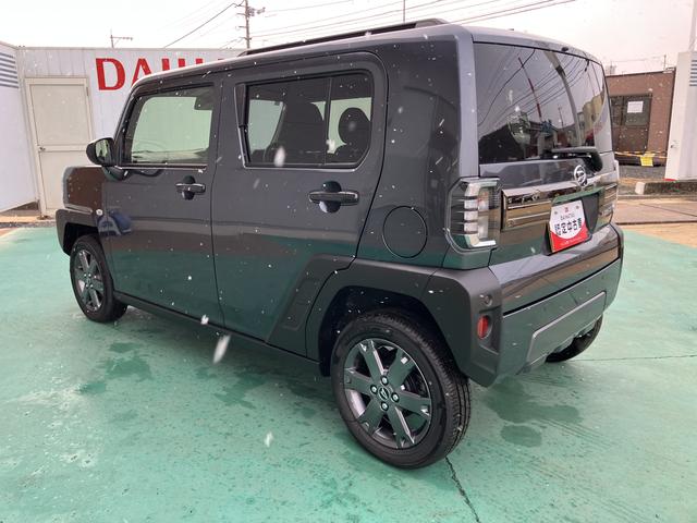 タフト Ｇ　ダーククロムベンチャー（12枚目）