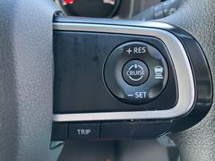 ���ȥ졼 �ңӡ��ųʥɥ��ߥ顼�����ԥϥ��ӡ��ࡡ�������ʡ��֡����ͷڸ��֥졼�������ƥ� 1003292A20251130D005 4