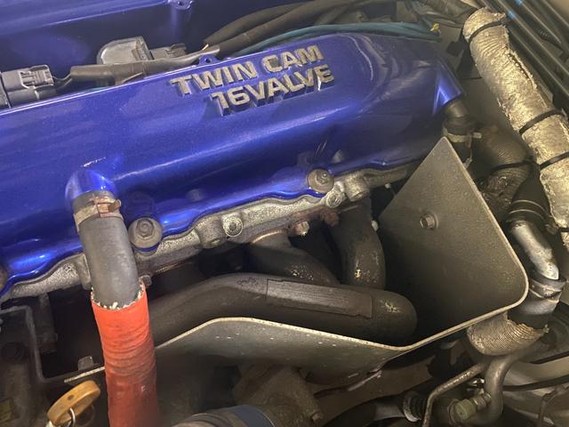 �s�n�l�d�h�G�L�}�j�ł��B�ՔM����������΍􂳂�Ă��܂��B