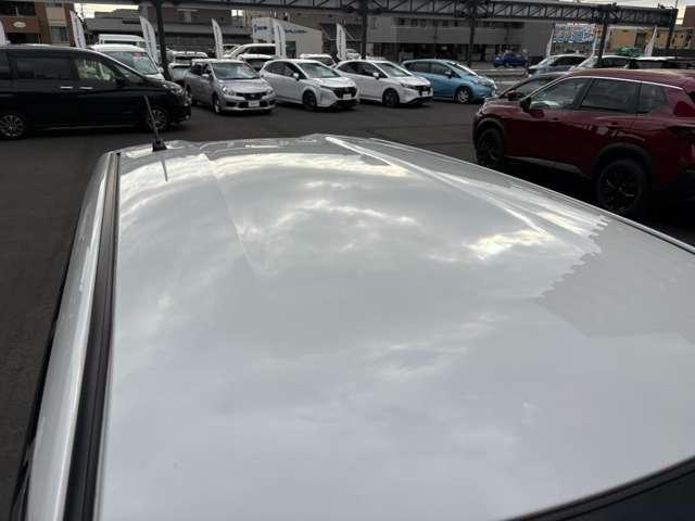 �y�����ԕی��z�����C���������B���Y�J�[���C�t�ی������X�Ȃ̂ŁA���T�����������