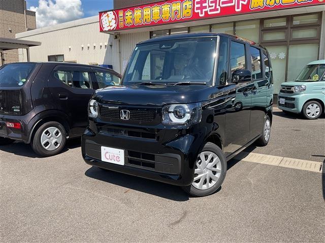 N-BOX 660 バックカメラ クルーズコントロール(3枚目)