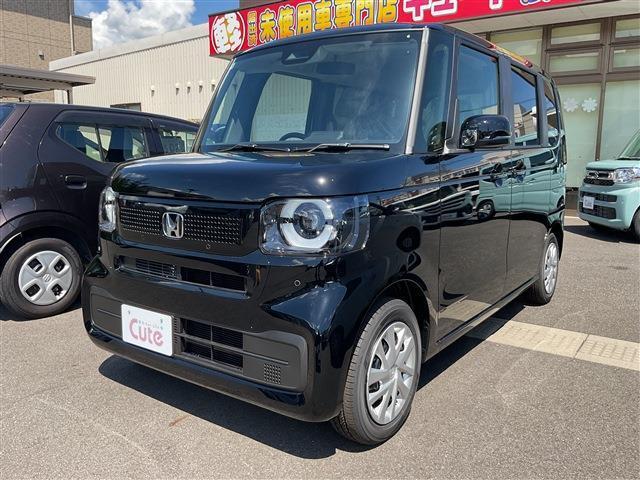 N-BOX 660 バックカメラ クルーズコントロール(4枚目)