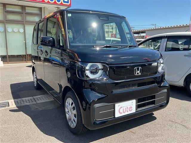 N-BOX 660 バックカメラ クルーズコントロール(6枚目)