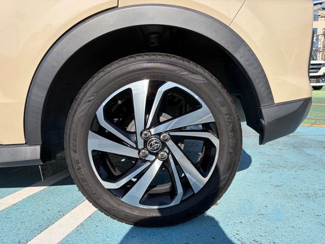 ライズ Ｇ　テレビ　全方位カメラ　ドライブレコーダー　ＬＥＤヘッドライト（10枚目）