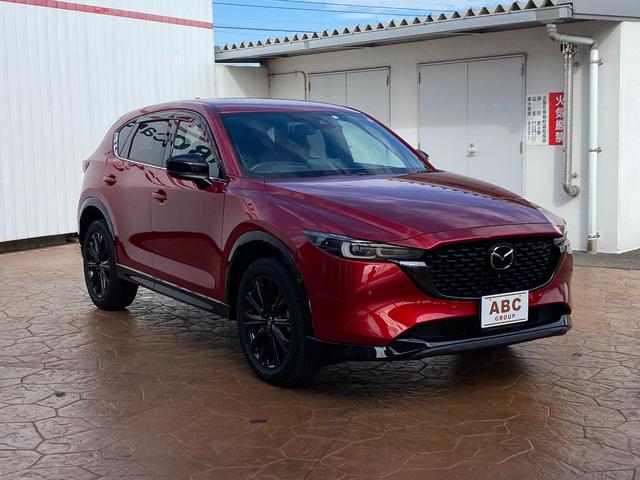 ＣＸ－５ ２５Ｓ　スポーツアピアランス　ドライブレコーダー　ＥＴＣ　全周囲カメラ　クリアランスソナー　オートクルーズコントロール　レーンアシスト　衝突被害軽減システム　オートライト　ＬＥＤヘッドランプ　電動リアゲート　アルミホイール（13枚目）
