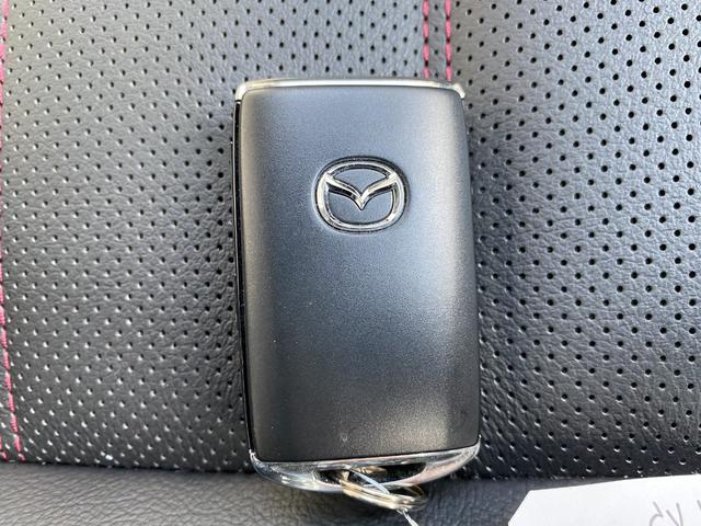 ＣＸ－５ ２５Ｓ　スポーツアピアランス　ドライブレコーダー　ＥＴＣ　全周囲カメラ　クリアランスソナー　オートクルーズコントロール　レーンアシスト　衝突被害軽減システム　オートライト　ＬＥＤヘッドランプ　電動リアゲート　アルミホイール（21枚目）