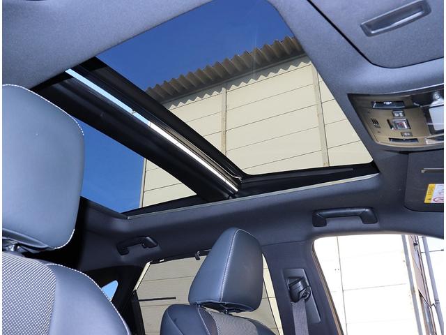 ＲＸ ＲＸ３００　Ｆスポーツ　レクサスセーフティシステム　パノラマルーフ　黒革シート　純正ＳＤナビフルセグＴＶ　パノラミックビューカメラ　３眼ＬＥＤライト　２０ＡＷ　パワーバックドア　クリソナー　ＢＳＭ　１２ケ月プレミアム保証付（64枚目）