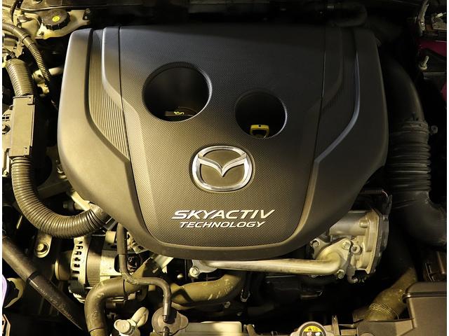 �X�J�C�A�N�e�B�u�N���[���f�B�[�[���^�[�{�i�O�Q�|�j�|��