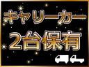 スタンダード　エアコン　パワステ　３方開　ヘッドライトレべライザー　衝突安全ボディ　禁煙車　スペアタイヤ　純正ラジオ　エアバック(47枚目)