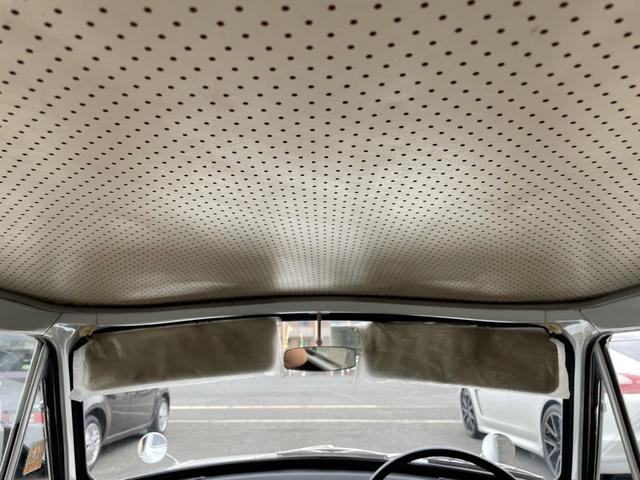 ミニカ 　デラックス（21枚目）