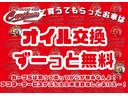 サハラ　ＥＴＣ、バックカメラ、サイドカメラ、Ｂｌｕｅｔｏｏｔｈ接続、フルセグ、リフトアップ、クルコン、オートライト、４ＷＤ、ダウンヒルアシストコントロール、ＣＤ、ＤＶＤ（70枚目）