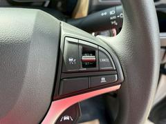 �ϥ��顼 �ϥ��֥�åɣǡ��Ͻк�̤���Ѽ֡����ꥢ��󥹥��ʡ��������������եƥ������ݡ��ȡ������ץƥ��֥��롼������ȥ����� 1010518A30251210W004 4