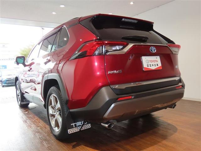 ＲＡＶ４ ハイブリッドＧ　４ＷＤ　衝突被害軽減システム　フルセグ　メモリーナビ　ＤＶＤ再生　バックカメラ　ＥＴＣ　ドラレコ　ＬＥＤヘッドランプ　スマートキー　オートクルーズコントロール　ハイブリッド（4枚目）