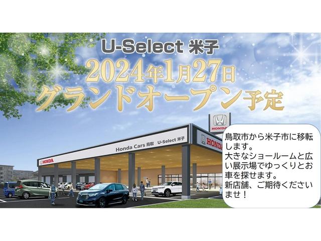 L 衝突軽減ブレーキアダプティブクルーズコントロール純正ナビバックカメラ(3枚目)