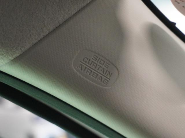 �y�J�[�e���G�A�o�b�O�z�J�[�e���G�A�o�b�N��W���������Ă��܂��B�z���_�J�[�Y����܂ł��z�����������B