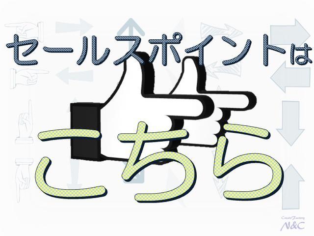 クロスロード １８Ｌ　Ｘパッケージ　ＥＴＣ　ＳＤナビ　ＤＶＤ　ＣＤ　フルセグ　室内清掃　シートクリーニング　３列シート　キーレス　衝突安全ボディ　車検整備付き（53枚目）