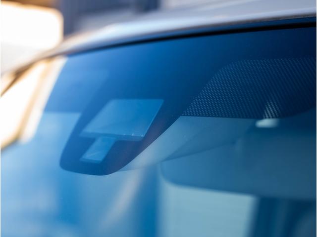 アルトラパン L(49枚目)