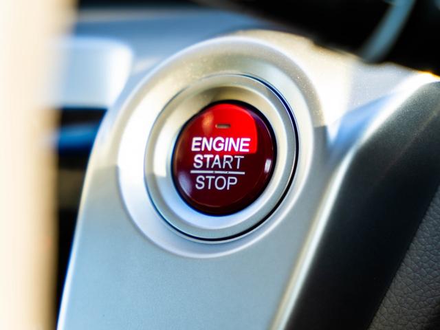 Ｎ－ＷＧＮ Ｇ・Ｌパッケージ（47枚目）