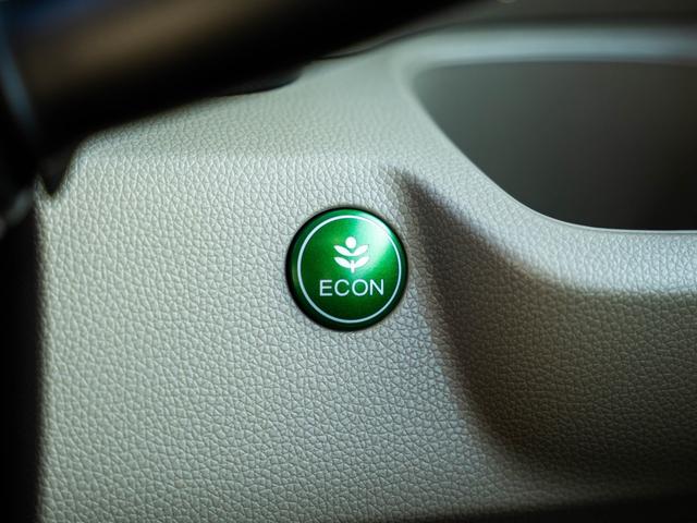 Ｎ－ＷＧＮ Ｇ・Ｌパッケージ（49枚目）