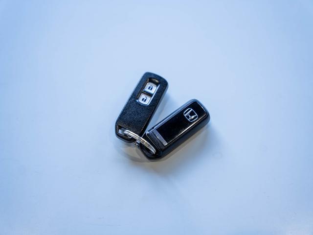 Ｎ－ＷＧＮ Ｇ・Ｌパッケージ（71枚目）