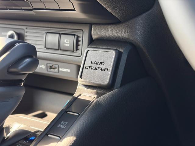 ランドクルーザー２５０ ＶＸ　ＶＸ　角目ＬＥＤヘッド　サンルーフ　トヨタチームメイト　１２．３型ディスプレイオーディオ　全周囲カメラ　シートベンチレーション　デジタルインナーミラー　ブラインドスポットモニター　ＥＴＣ２．０（28枚目）