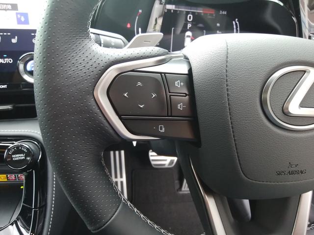 ＮＸ ３５０ｈ　Ｆスポーツ　純正ナビフルセグ　サンルーフ　黒革パワーシートヒーターファン　オレンジキャリパー　コーティング済　リアフィルム貼り　置くだけ充電　ＥＴＣ　ドラレコ前後　デジタルインナーミラー　ランフラットタイヤ（46枚目）