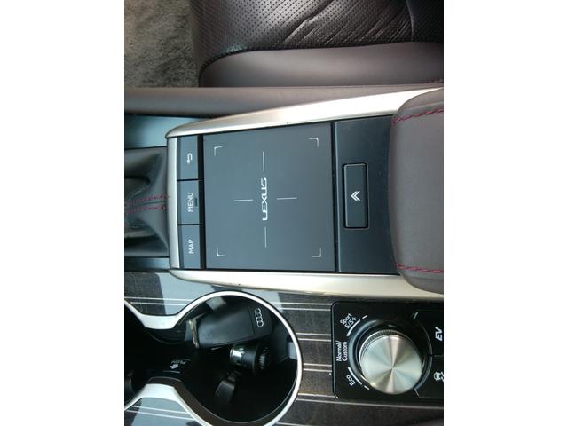 ＲＸ ＲＸ４５０ｈ　バージョンＬ　純正ナビＴＶ　サンルーフ　革パワーシートヒーター＆エアコン　全周囲カメラ　ドラレコ前後　クルーズコントロール　ブラインドスポットモニター　ブルートゥース　パワーバックドア　ＥＴＣ　スマート＆カードキー（37枚目）