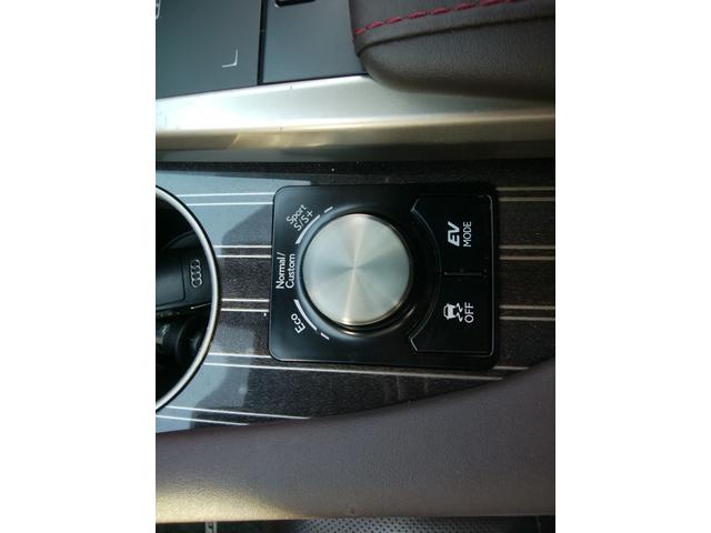 ＲＸ ＲＸ４５０ｈ　バージョンＬ　純正ナビＴＶ　サンルーフ　革パワーシートヒーター＆エアコン　全周囲カメラ　ドラレコ前後　クルーズコントロール　ブラインドスポットモニター　ブルートゥース　パワーバックドア　ＥＴＣ　スマート＆カードキー（38枚目）