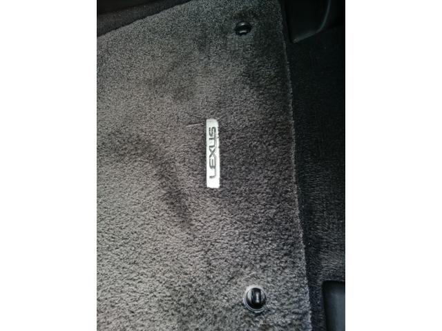 ＲＸ ＲＸ４５０ｈ　バージョンＬ　純正ナビＴＶ　サンルーフ　革パワーシートヒーター＆エアコン　全周囲カメラ　ドラレコ前後　クルーズコントロール　ブラインドスポットモニター　ブルートゥース　パワーバックドア　ＥＴＣ　スマート＆カードキー（49枚目）