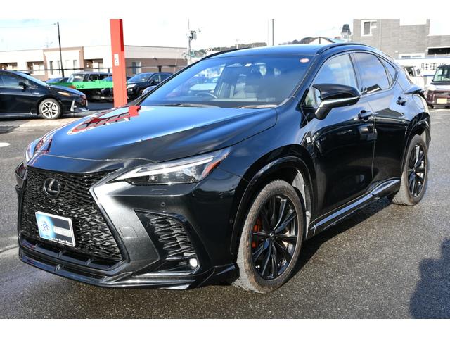 ��������q�̒�����i���j�J�[���[�h�̎��q�����������������肪�Ƃ��������܂��B