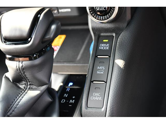 �����Q���������ł��B�q�~�s�ɂȂ�܂��B�I�v�V���������̎Ԃ����p�ӂ��Ă��܂��B�Ԃ̂��Ƃ̓J�[���[�h�ɂ��C�����������B