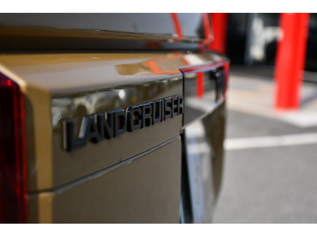 ���X�́w�ԑI�с��Ԍ��E�_���E�C���������ւ��x�܂ł��ׂđΉ����郏���X�g�b�v�̑̐������グ�܂����B�Ԃ̂��Ƃ̓J�[���[�h�ɂ��C�����������B