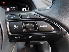 ��¦�Υ��ƥ���󥰥����å� 7