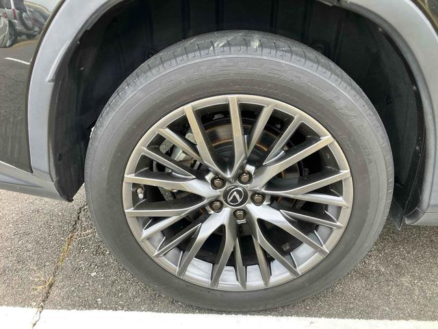 ここまでご覧いただきありがとうございました！２１枚目以降もたくさんの画像を掲載しております！ぜひこちらもご覧ください！