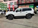 TOYOTA LAND CRUISER 250