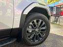 TOYOTA LAND CRUISER 250
