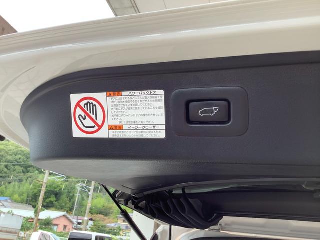 アルファードハイブリッド Ｓ　タイプゴールドＩＩ　トヨタ認定中古車　サンルーフ　４ＷＤ　フルセグ　メモリーナビ　ＤＶＤ再生　Ｂｌｕｅｔｏｏｔｈ　ミュージックプレイヤー接続　後席モニター　衝突被害軽減システム　ＥＴＣ　ドラレコ　両側電動スライド　ＬＥＤ（30枚目）