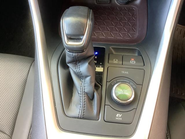 ＲＡＶ４ ハイブリッドＧ　トヨタ認定中古車　４ＷＤ　フルセグ　メモリーナビ　Ｂｌｕｅｔｏｏｔｈ接続　ミュージックプレイヤー接続可　バックカメラ　衝突被害軽減システム　ＥＴＣ　前後ドラレコ　パワ－バックドア　ＬＥＤヘッドランプ（46枚目）