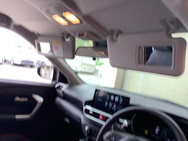 ライズ Ｇ　トヨタ認定中古車　ディスプレイオーディオ　フルセグ　Ｂｌｕｅｔｏｏｔｈ接続　ＵＳＢ　ミュージックプレイヤー接続可　バックカメラ　衝突被害軽減システム　ＥＴＣ　ＬＥＤヘッドランプ　ワンオーナー（53枚目）