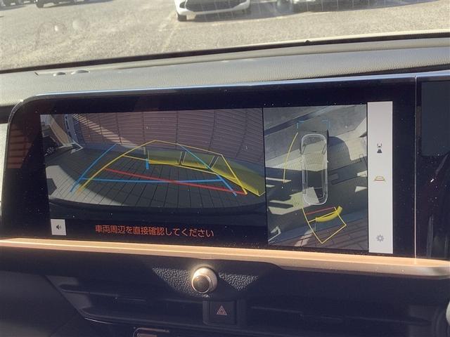 �p�b�N���j�^�|���������Ă���܂��B�Ԍɓ���̋��Ȃ��q�l�A�������S�z����܂���B�d�󂵂Ă����Ǝv���܂��B