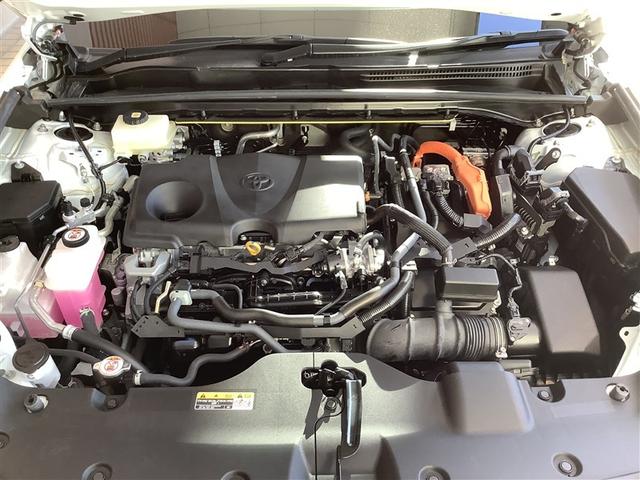 ���[�Ԍ�̃I�C��������_���E�Ԍ��������񓖓X�ɂ��C���������B