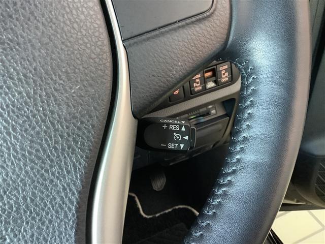 �Ԍ��E�_���E�p�i���t���A������̎��̑Ή��܂ŁA���C�����������B