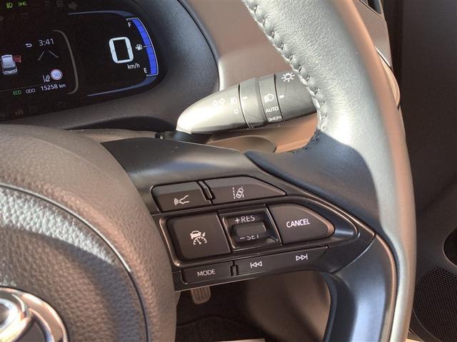 �Ԍ��E�_���E�p�i���t���A������̎��̑Ή��܂ŁA���C�����������B