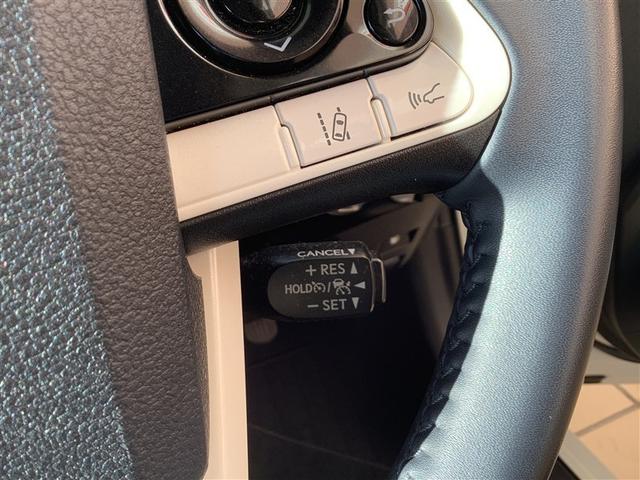 �Ԍ��E�_���E�p�i���t���A������̎��̑Ή��܂ŁA���C�����������B