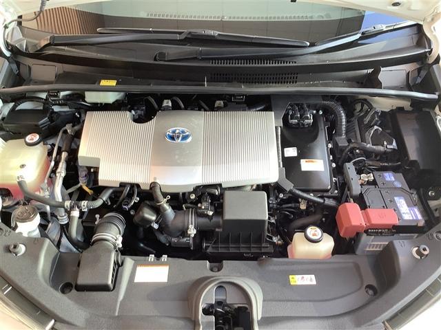 ���[�Ԍ�̃I�C��������_���E�Ԍ��������񓖓X�ɂ��C���������B