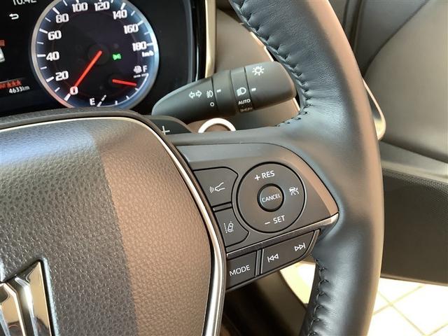 �����x�����ł̂��w�������X�ɂ��C�����������B������-����{-�i�X���p�A�ی��𗍂߂��v�������������܂��B