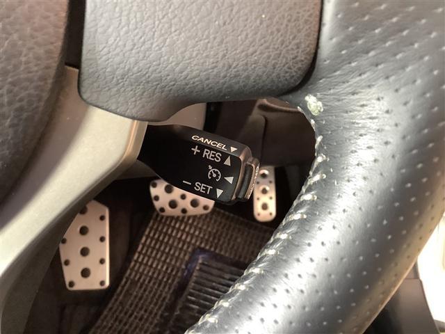 �Ԍ��E�_���E�p�i���t���A������̎��̑Ή��܂ŁA���C�����������B