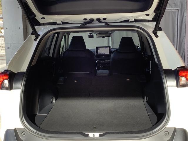 �V�|�g�͓Ɨ��|���A�F�X�ȉו����ύڂł��܂��B